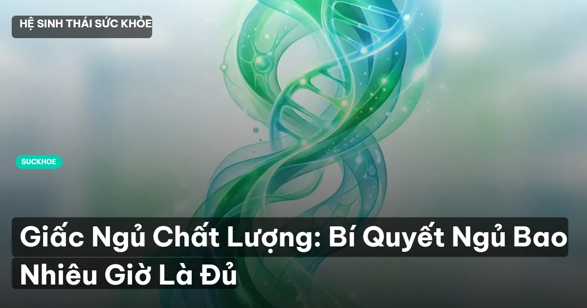 giấc ngủ chất lượng