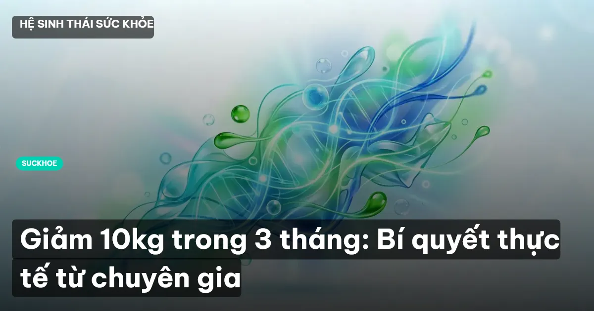 Giảm 10kg trong 3 tháng: Bí quyết thực tế từ chuyên gia