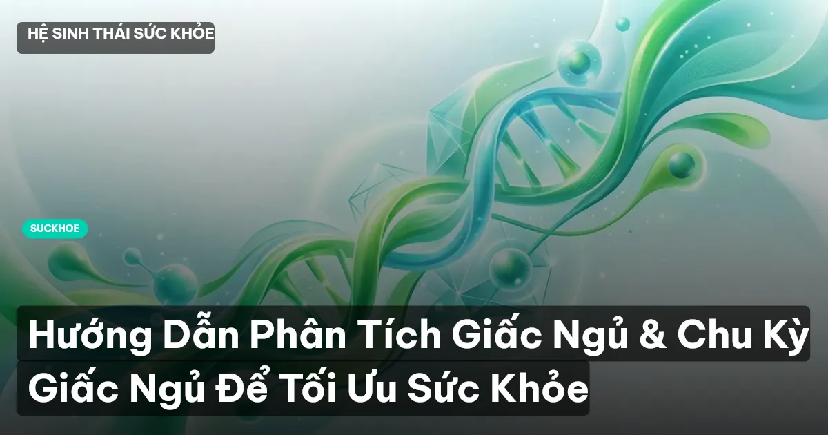 Hướng Dẫn Phân Tích Giấc Ngủ & Chu Kỳ Giấc Ngủ Để Tối Ưu Sức Khỏe