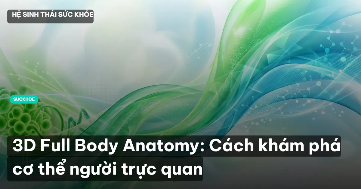 3D Full Body Anatomy: Cách khám phá cơ thể người trực quan