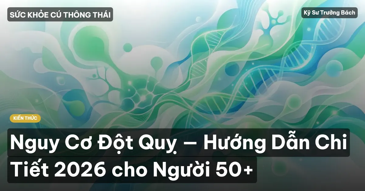 Nguy Cơ Đột Quỵ — Hướng Dẫn Chi Tiết 2026 cho Người 50+
