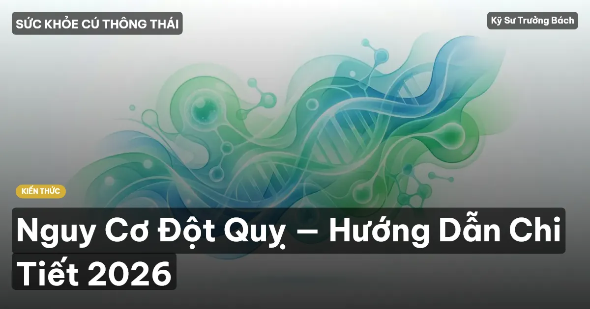Nguy Cơ Đột Quỵ — Hướng Dẫn Chi Tiết 2026