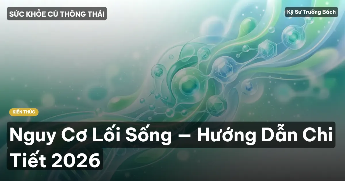 Nguy Cơ Lối Sống — Hướng Dẫn Chi Tiết 2026
