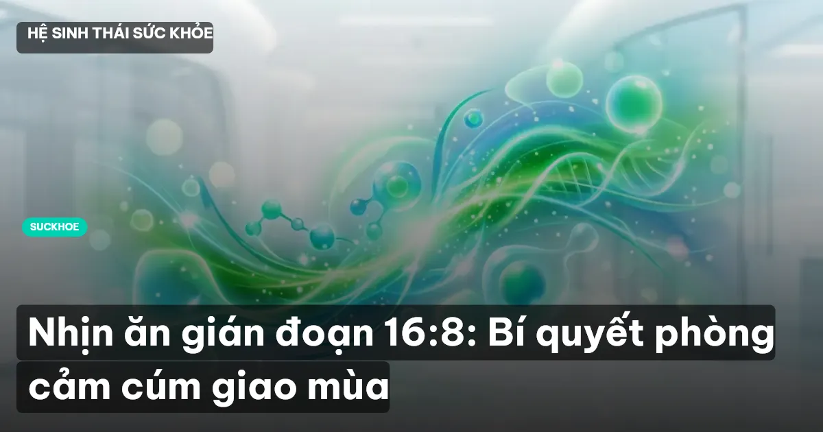 nhịn ăn gián đoạn 16:8