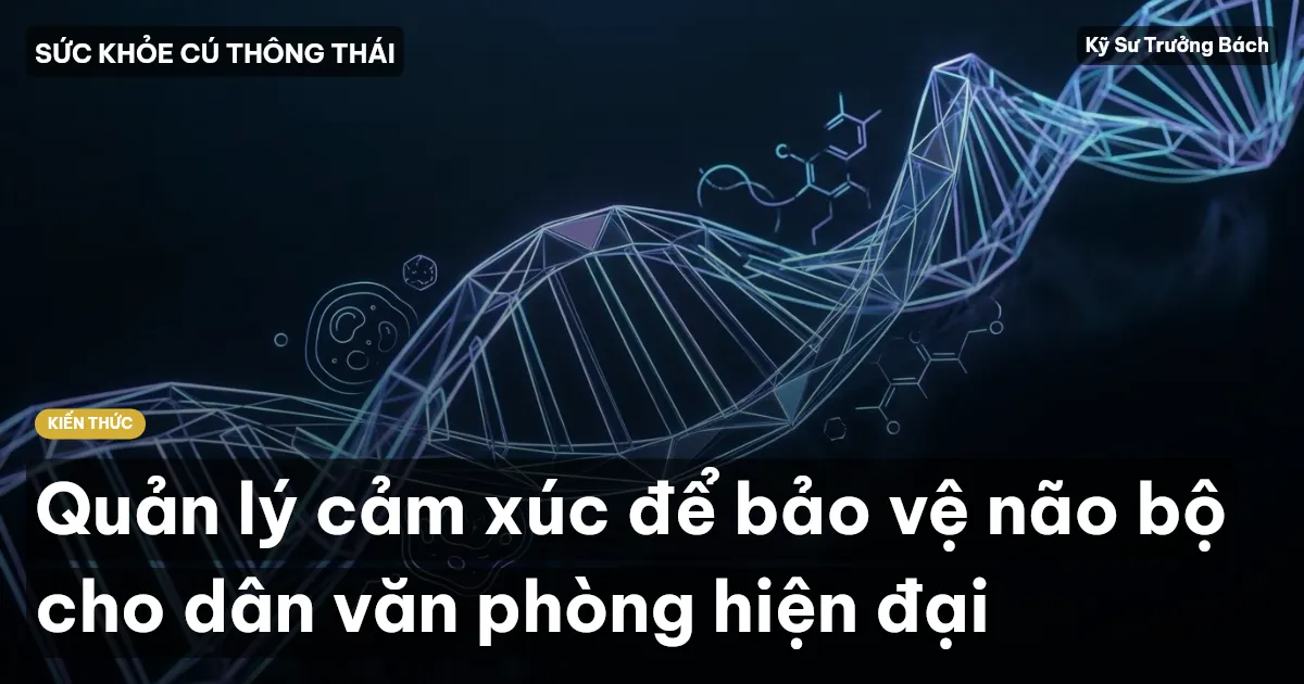 Quản lý cảm xúc để bảo vệ não bộ cho dân văn phòng hiện đại