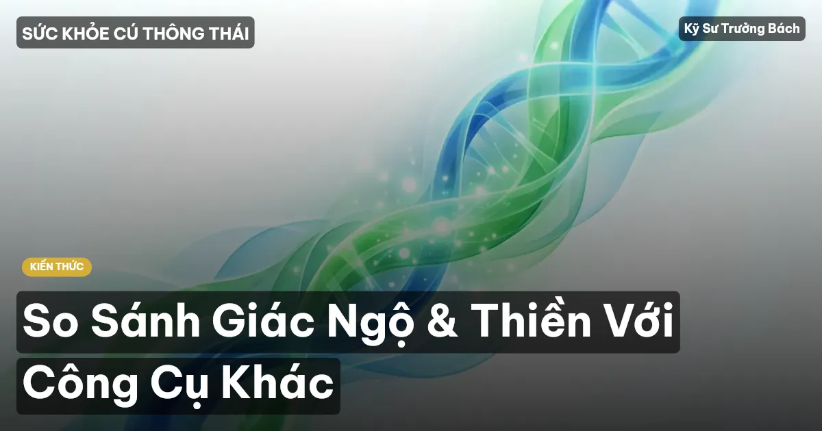 So Sánh Giác Ngộ & Thiền Với Công Cụ Khác