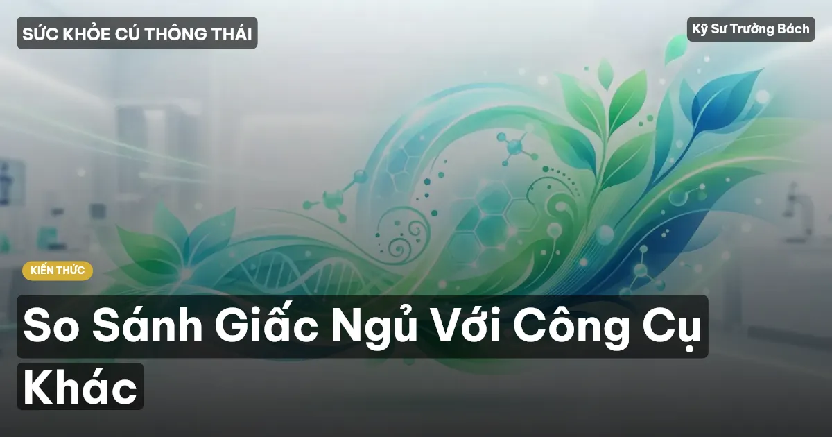 So Sánh Giấc Ngủ Với Công Cụ Khác