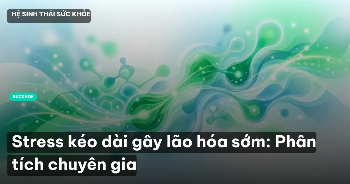 Stress kéo dài gây lão hóa sớm: Phân tích chuyên gia