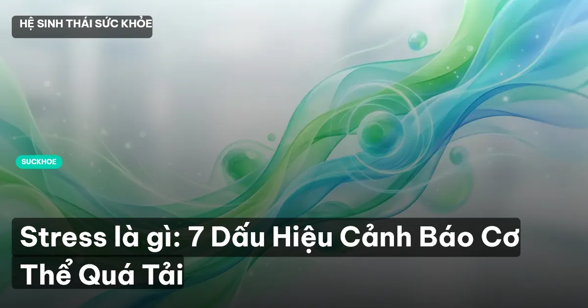 stress là gì