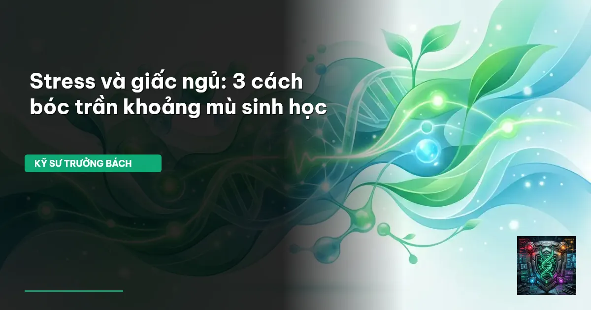 stress và giấc ngủ