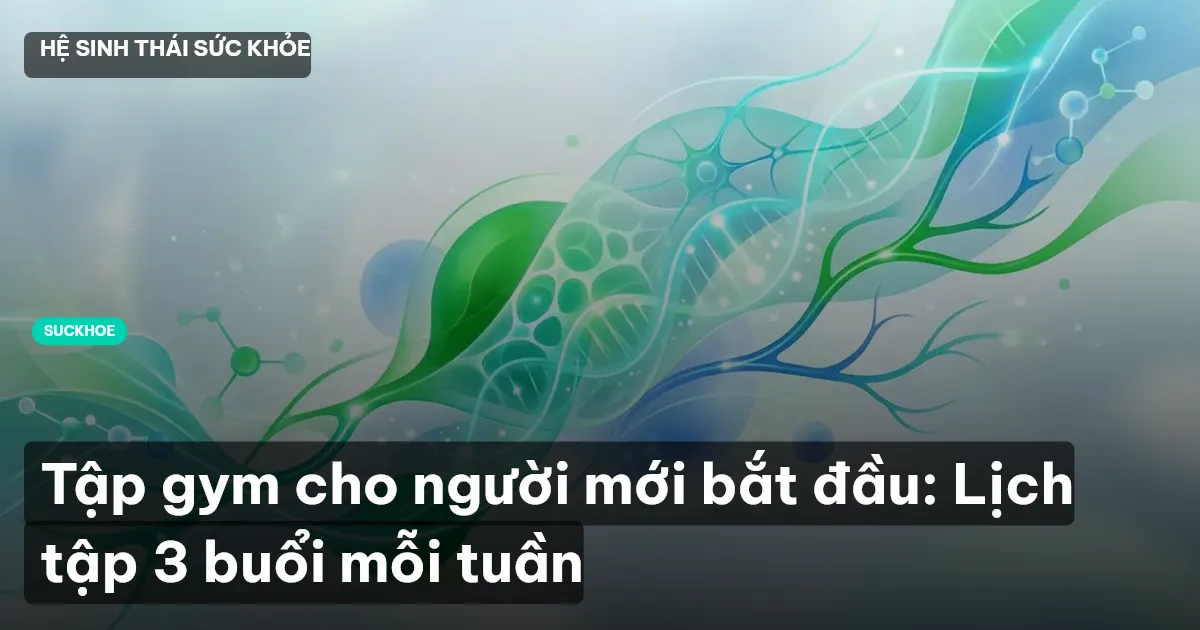 tập gym cho người mới bắt đầu