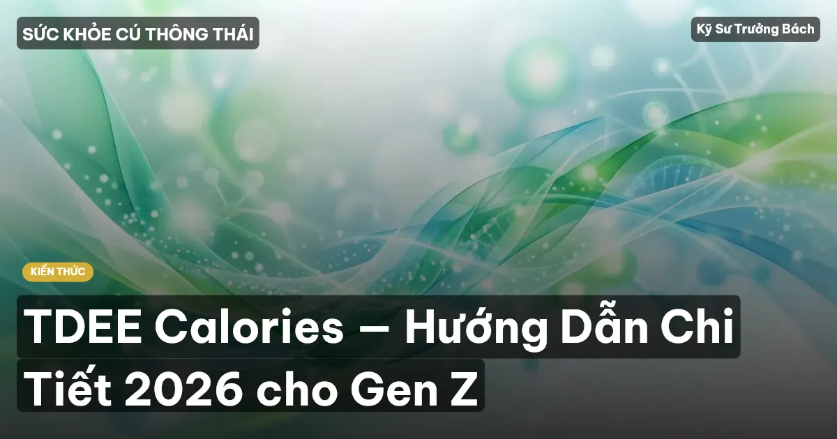 TDEE Calories — Hướng Dẫn Chi Tiết 2026 cho Gen Z