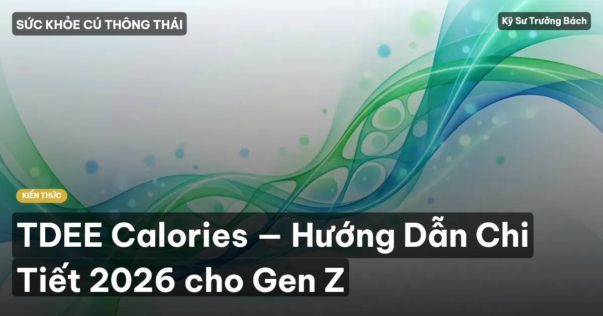 TDEE Calories — Hướng Dẫn Chi Tiết 2026 cho Gen Z