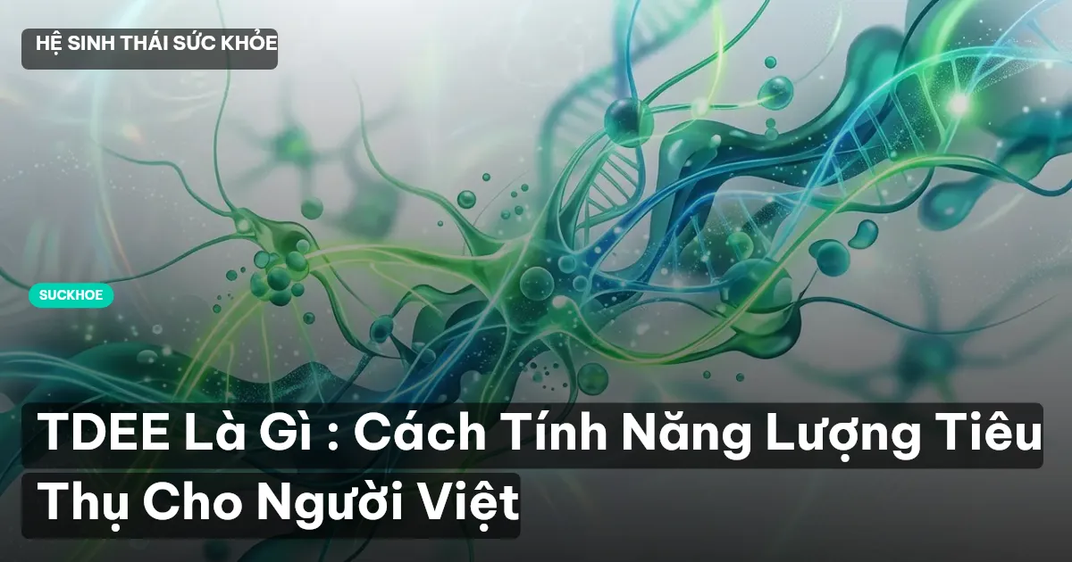 tdee là gì