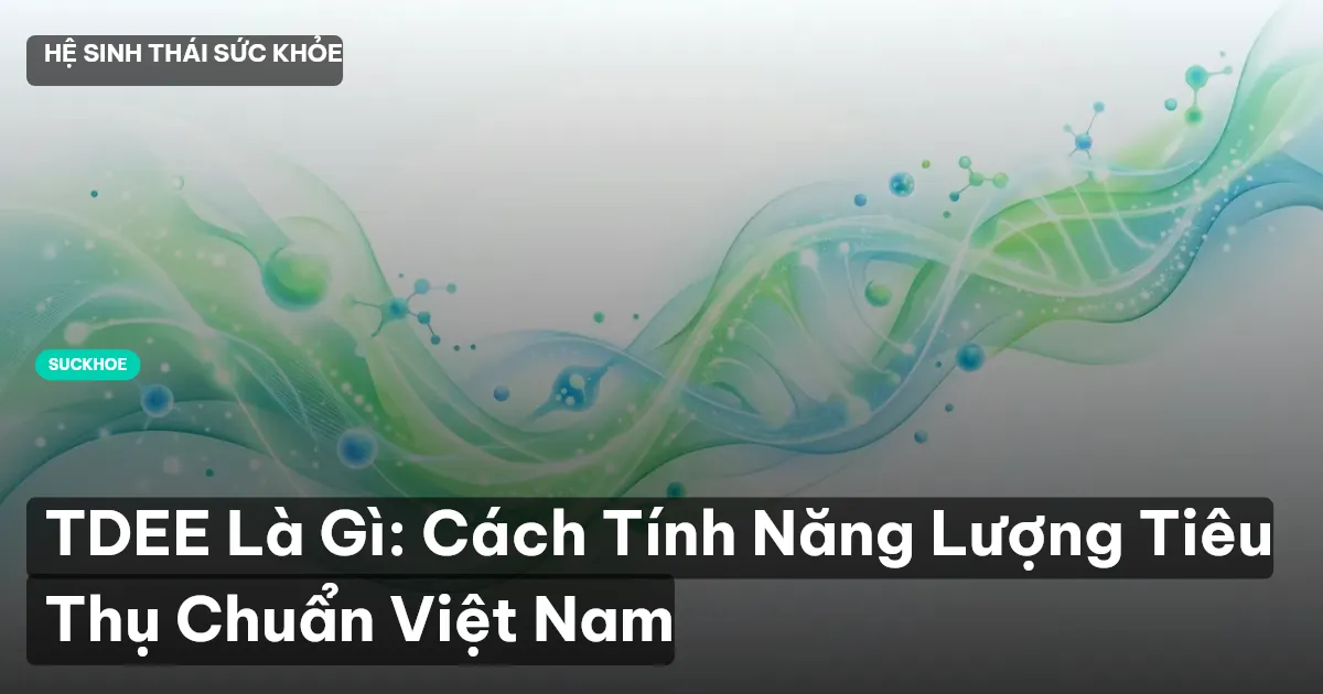 TDEE Là Gì: Cách Tính Năng Lượng Tiêu Thụ Chuẩn Việt Nam