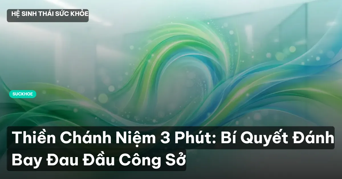 Thiền Chánh Niệm 3 Phút: Bí Quyết Đánh Bay Đau Đầu Công Sở
