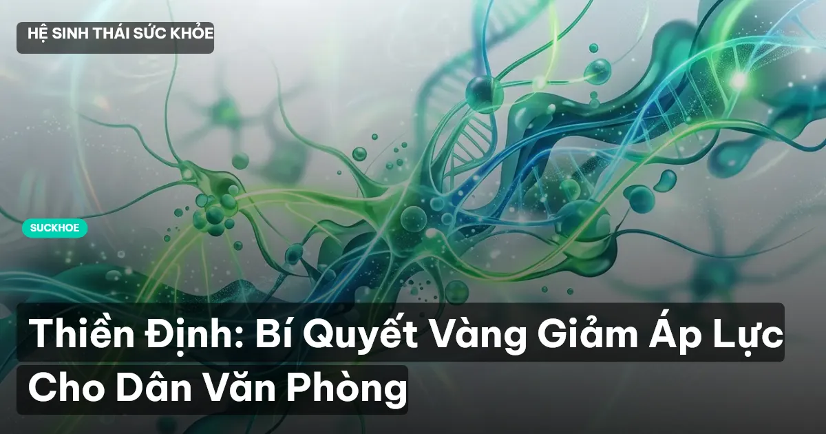 thiền định