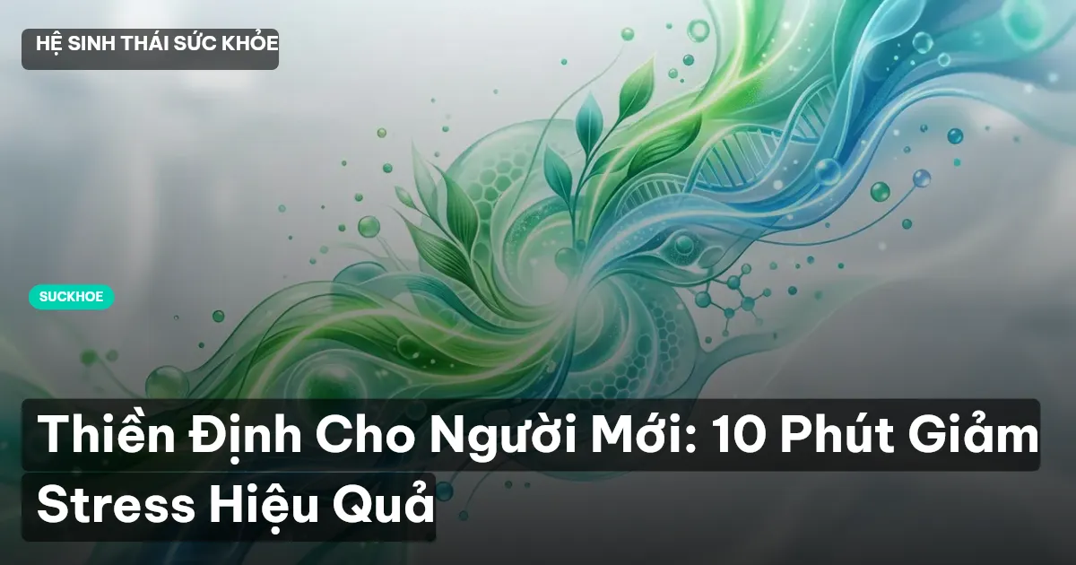 thiền định cho người mới bắt đầu
