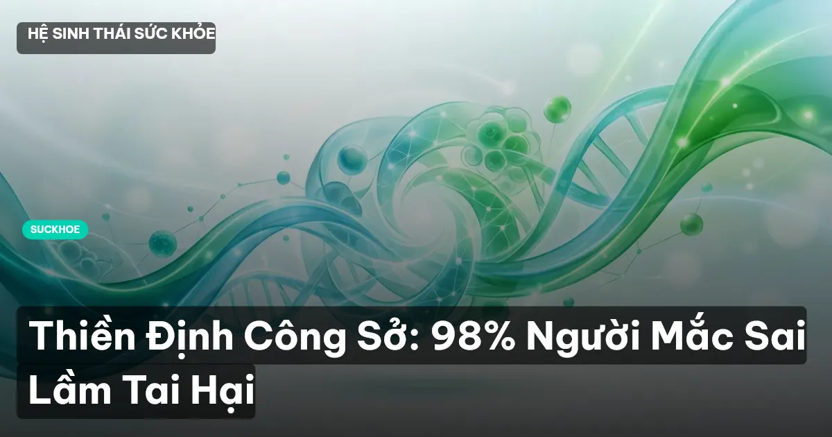 Thiền Định Công Sở: 98% Người Mắc Sai Lầm Tai Hại
