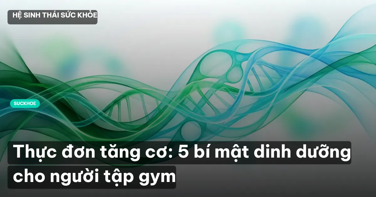 thực đơn tăng cơ