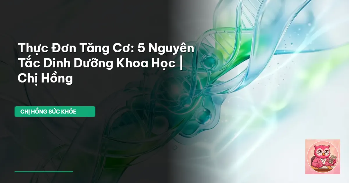 thực đơn tăng cơ