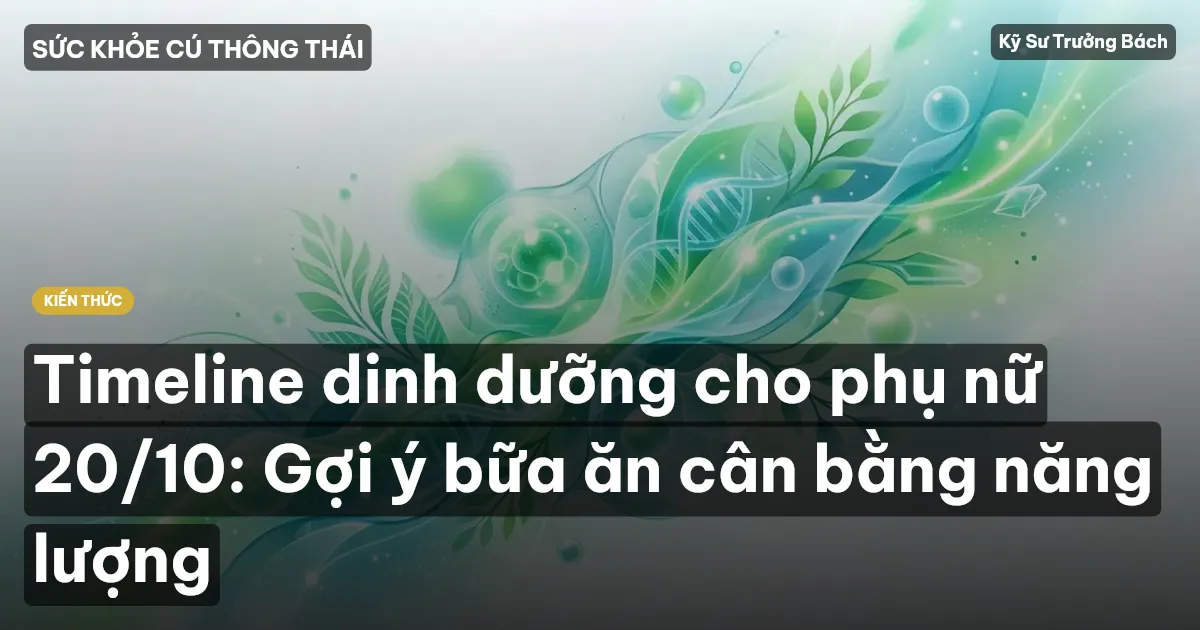 Timeline dinh dưỡng cho phụ nữ 20/10: Gợi ý bữa ăn cân bằng năng lượng