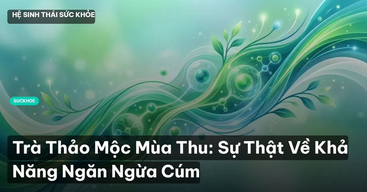 Trà Thảo Mộc Mùa Thu: Sự Thật Về Khả Năng Ngăn Ngừa Cúm