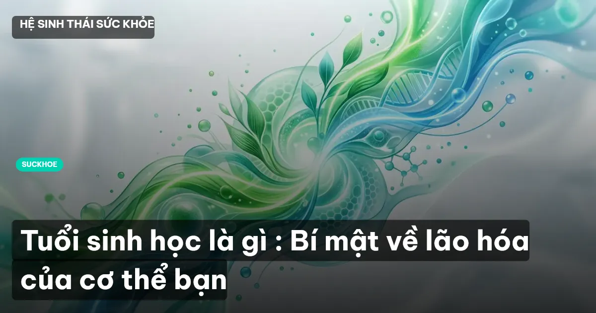 Tuổi sinh học là gì : Bí mật về lão hóa của cơ thể bạn