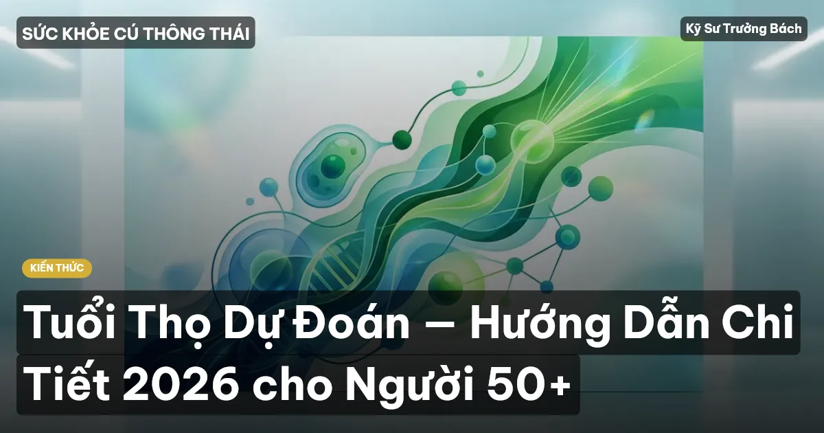 Tuổi Thọ Dự Đoán — Hướng Dẫn Chi Tiết 2026 cho Người 50+