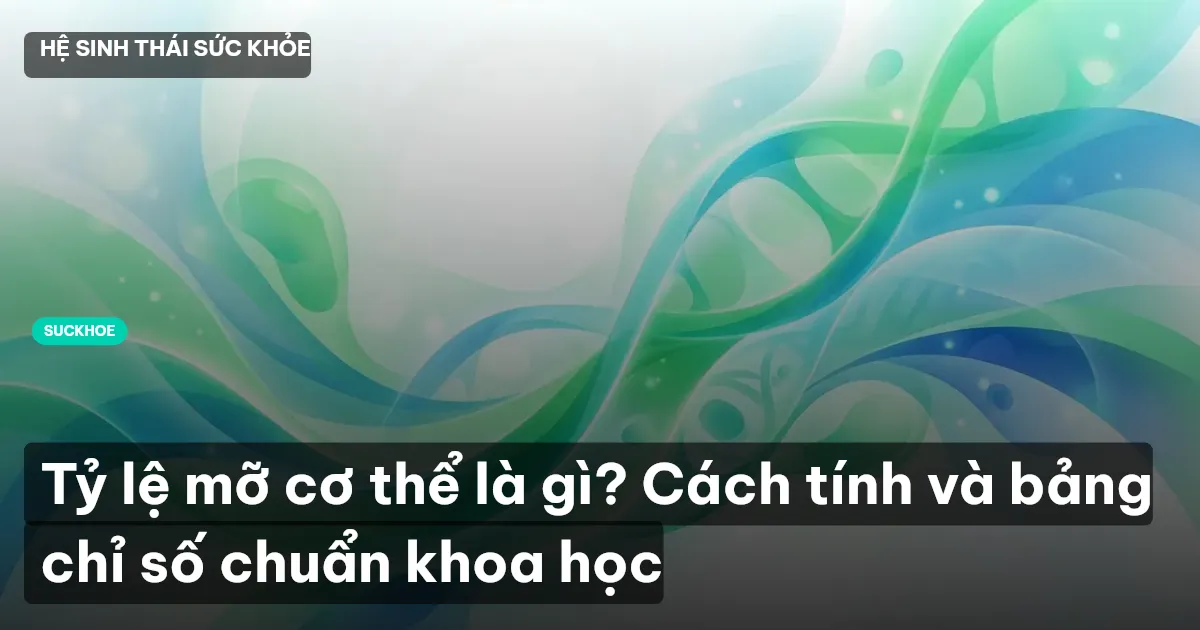 Tỷ lệ mỡ cơ thể là gì? Cách tính và bảng chỉ số chuẩn khoa học