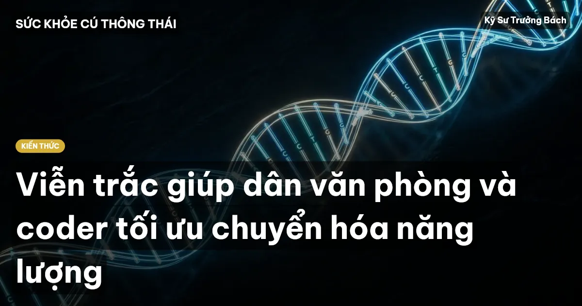 Viễn trắc giúp dân văn phòng và coder tối ưu chuyển hóa năng lượng