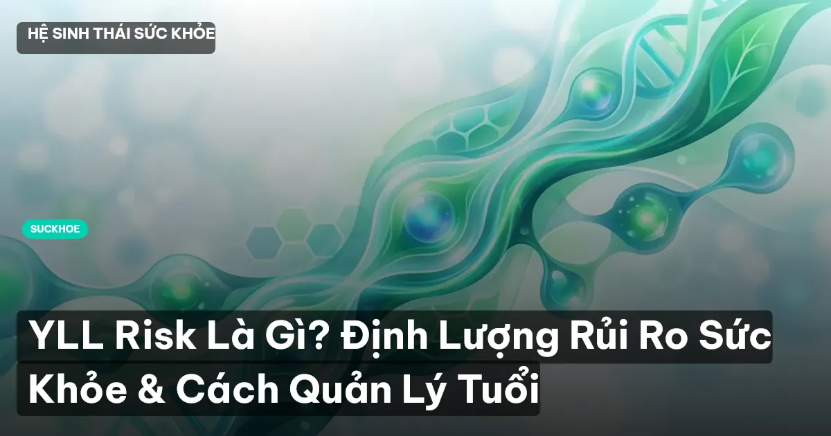YLL Risk Là Gì? Định Lượng Rủi Ro Sức Khỏe & Cách Quản Lý Tuổi