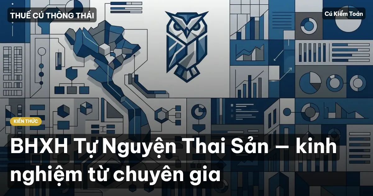 BHXH Tự Nguyện Thai Sản — kinh nghiệm từ chuyên gia