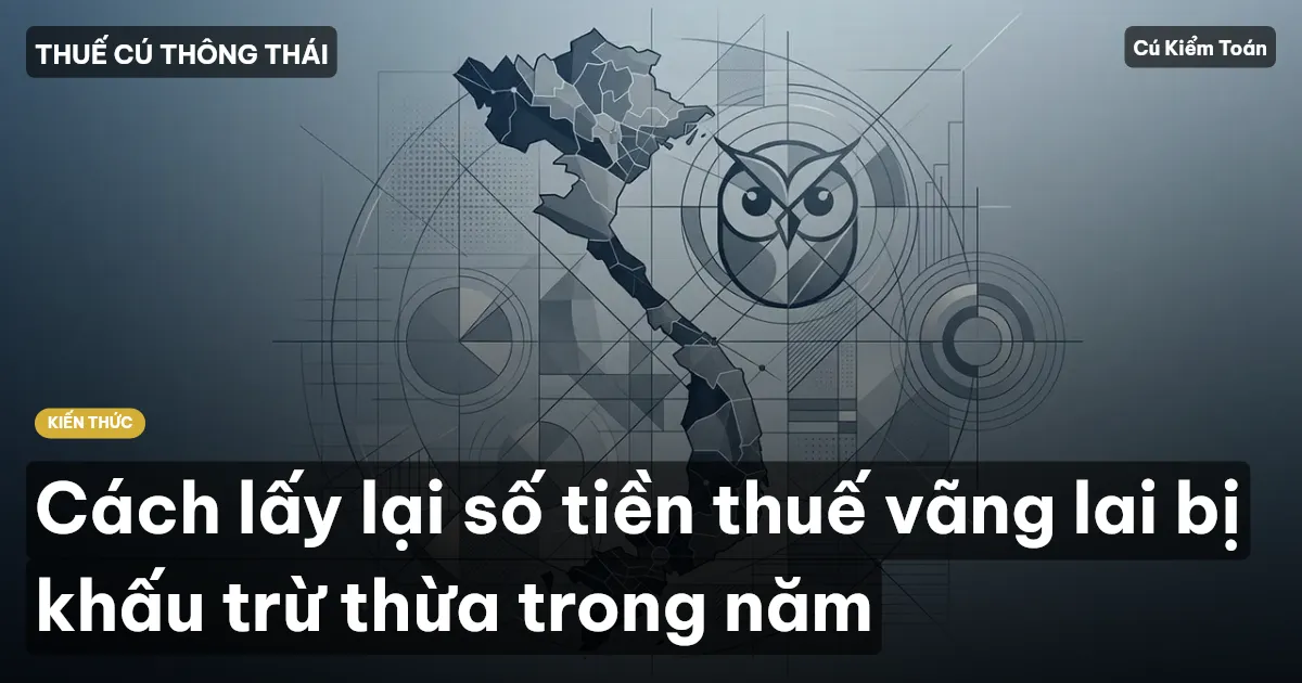 Cách lấy lại số tiền thuế vãng lai bị khấu trừ thừa trong năm