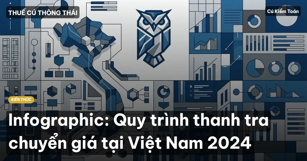 Infographic: Quy trình thanh tra chuyển giá tại Việt Nam 2024