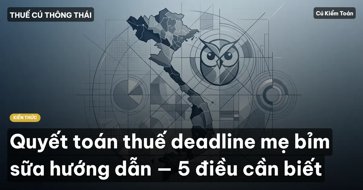 Quyết toán thuế deadline mẹ bỉm sữa hướng dẫn — 5 điều cần biết