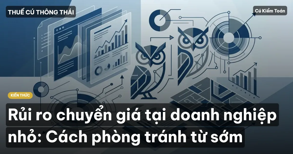 Rủi ro chuyển giá tại doanh nghiệp nhỏ: Cách phòng tránh từ sớm