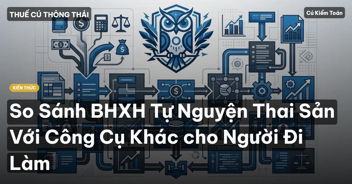 So Sánh BHXH Tự Nguyện Thai Sản Với Công Cụ Khác cho Người Đi Làm