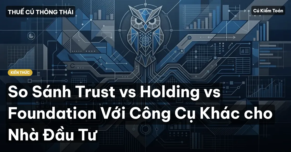 So Sánh Trust vs Holding vs Foundation Với Công Cụ Khác cho Nhà Đầu Tư