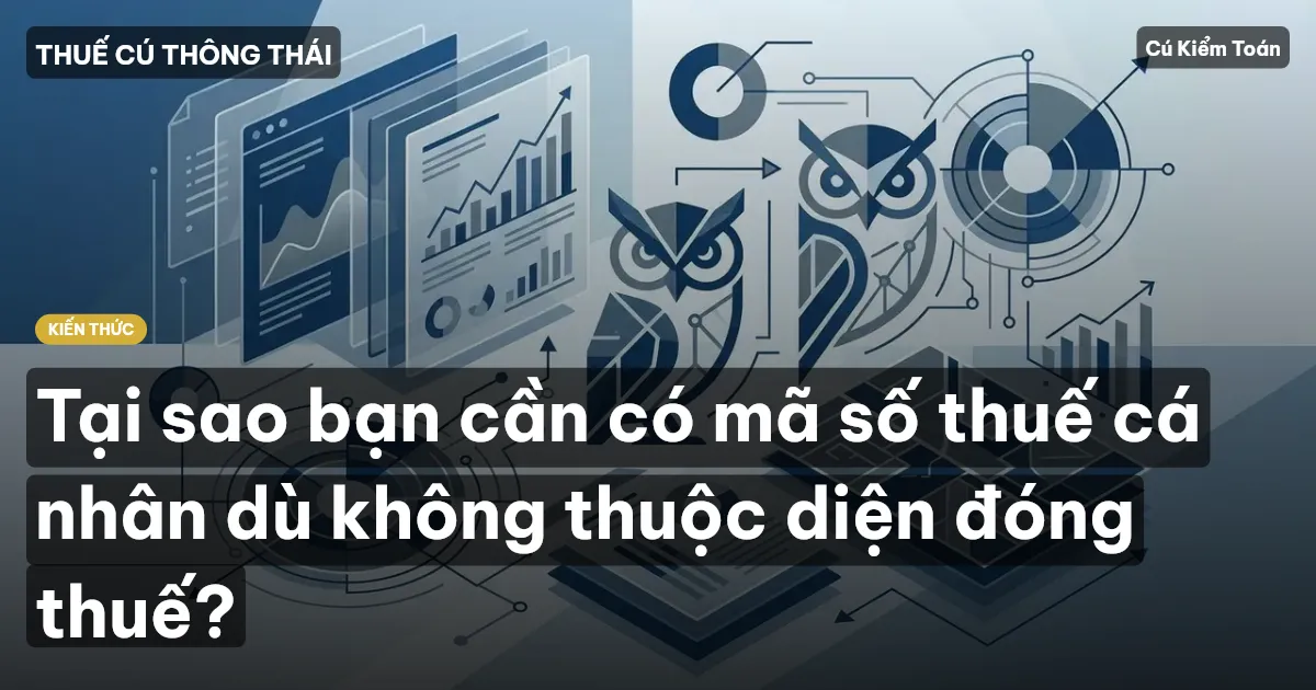 Tại sao bạn cần có mã số thuế cá nhân dù không thuộc diện đóng thuế?