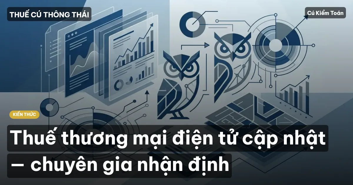 Thuế thương mại điện tử cập nhật — chuyên gia nhận định