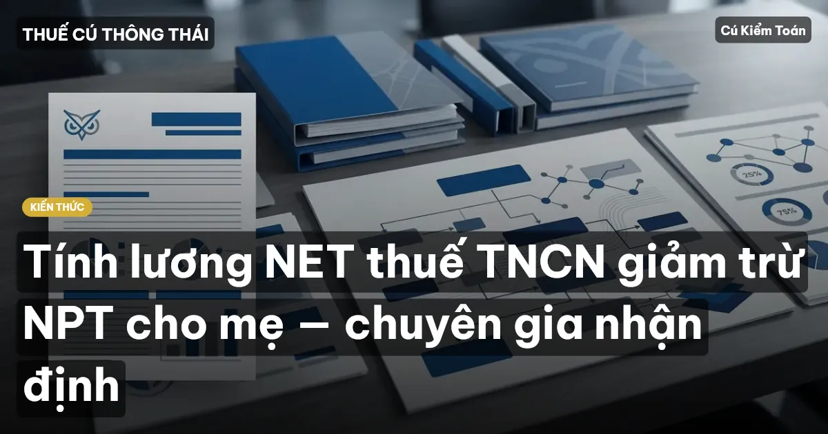 Tính lương NET thuế TNCN giảm trừ NPT cho mẹ — chuyên gia nhận định