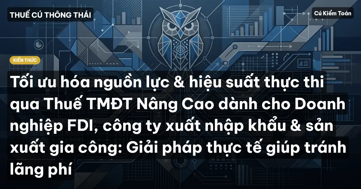 Tối ưu hóa nguồn lực & hiệu suất thực thi qua Thuế TMĐT Nâng Cao dành cho Doanh nghiệp FDI, công ty xuất nhập khẩu & sản xuất gia công: Giải pháp thực tế giúp tránh lãng phí