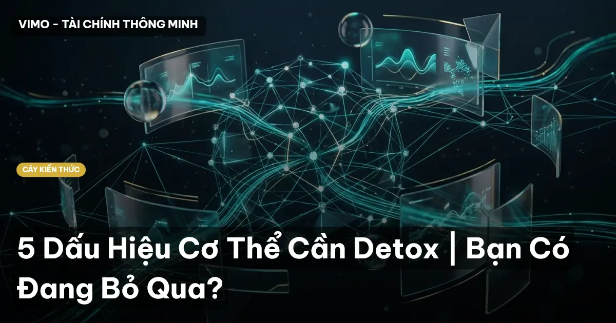 5 Dấu Hiệu Cơ Thể Cần Detox | Bạn Có Đang Bỏ Qua?