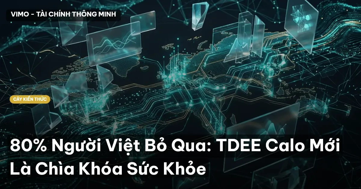 80% Người Việt Bỏ Qua: TDEE Calo Mới Là Chìa Khóa Sức Khỏe