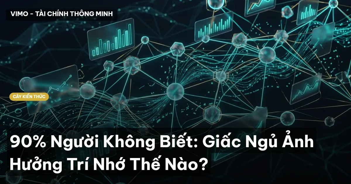 90% Người Không Biết: Giấc Ngủ Ảnh Hưởng Trí Nhớ Thế Nào?