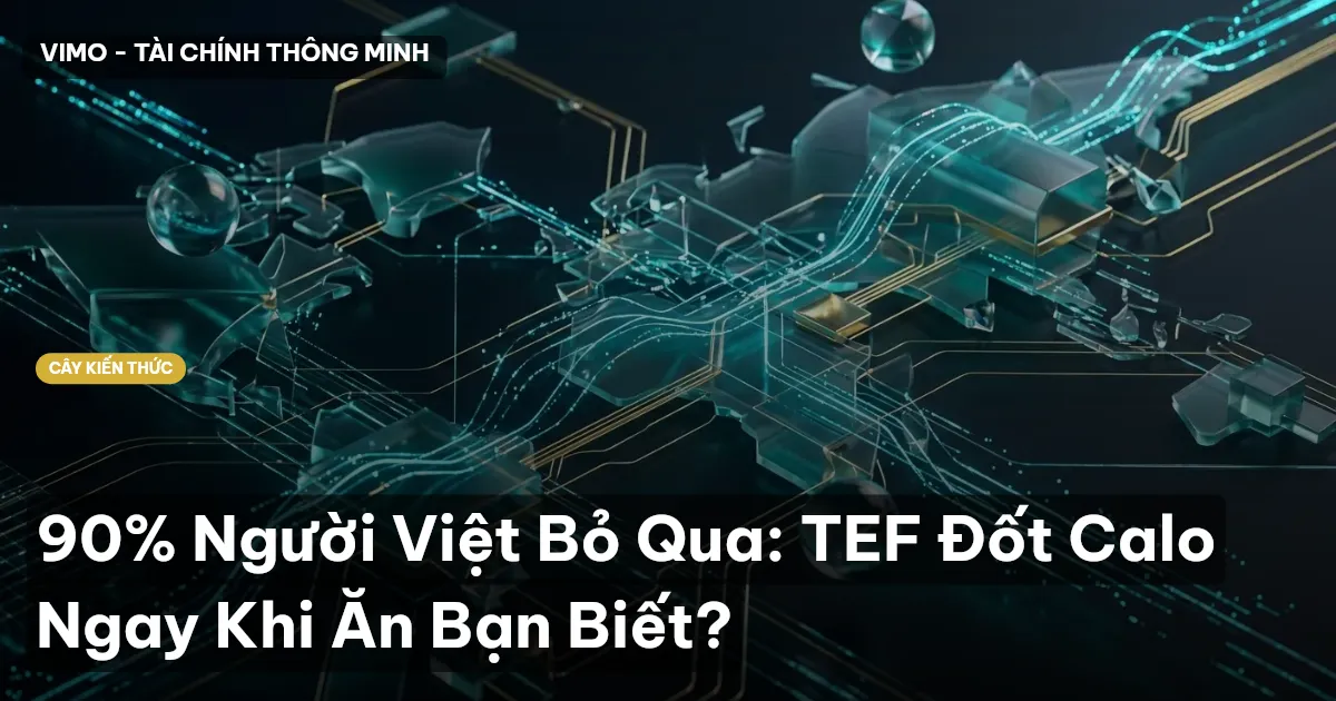 90% Người Việt Bỏ Qua: TEF Đốt Calo Ngay Khi Ăn Bạn Biết?