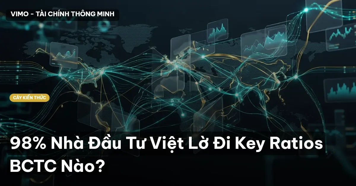 98% Nhà Đầu Tư Việt Lờ Đi Key Ratios BCTC Nào?