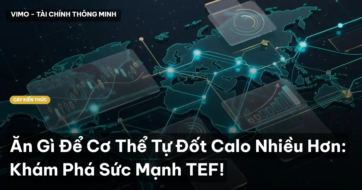 Ăn Gì Để Cơ Thể Tự Đốt Calo Nhiều Hơn: Khám Phá Sức Mạnh TEF!