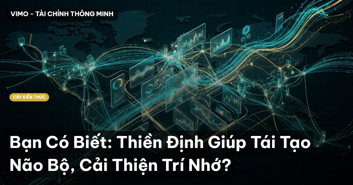 Bạn Có Biết: Thiền Định Giúp Tái Tạo Não Bộ, Cải Thiện Trí Nhớ?